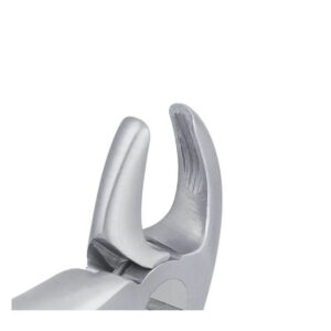 GDC Extraction Forceps Lower Roots Pedo Standard (FX3CS)